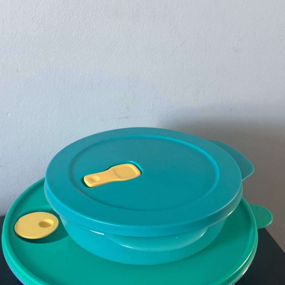 Tupperware Crystal Wave Divided Containers
